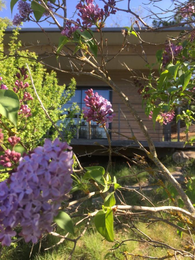 Gite La Cerise Qui Rit La Cresse Exterior foto